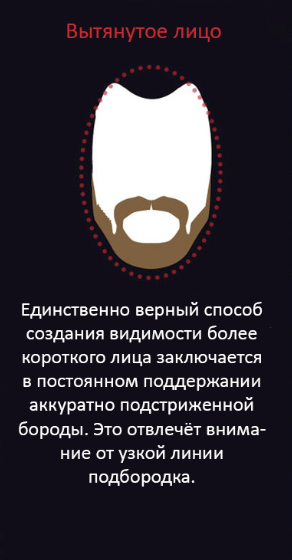 Как отрастить бороду правильно и быстро по шагам (30+ фото): этапы роста с нуля, мужчине и подростку, советы как ускорить рост щетины33