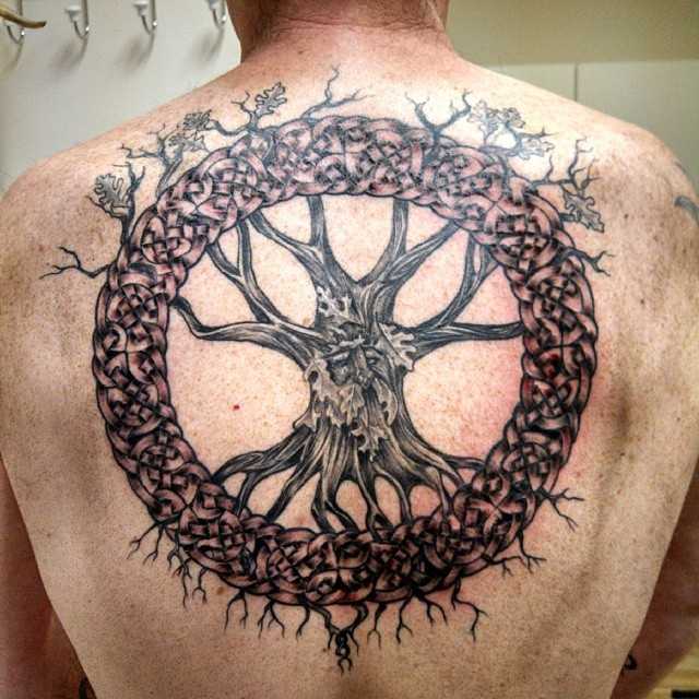 Дерево тату с кельтским узором