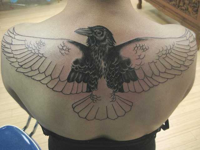 Ворона тату на спине