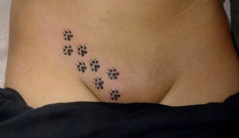 кошачьи следы на лобке интимные тату