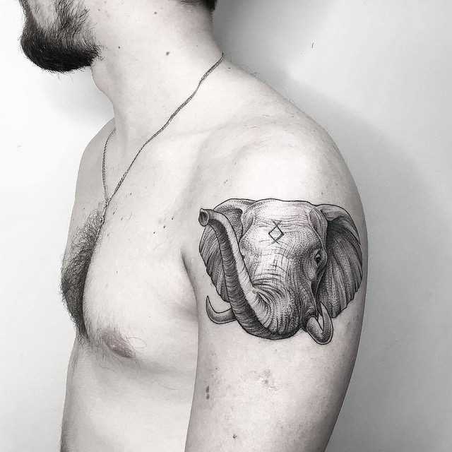 Слон тату на плече